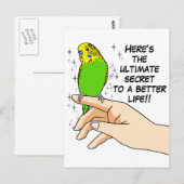 Boedgies maken het leven beter briefkaart (Voorkant / Achterkant)