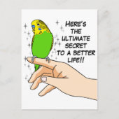 Boedgies maken het leven beter briefkaart (Voorkant)