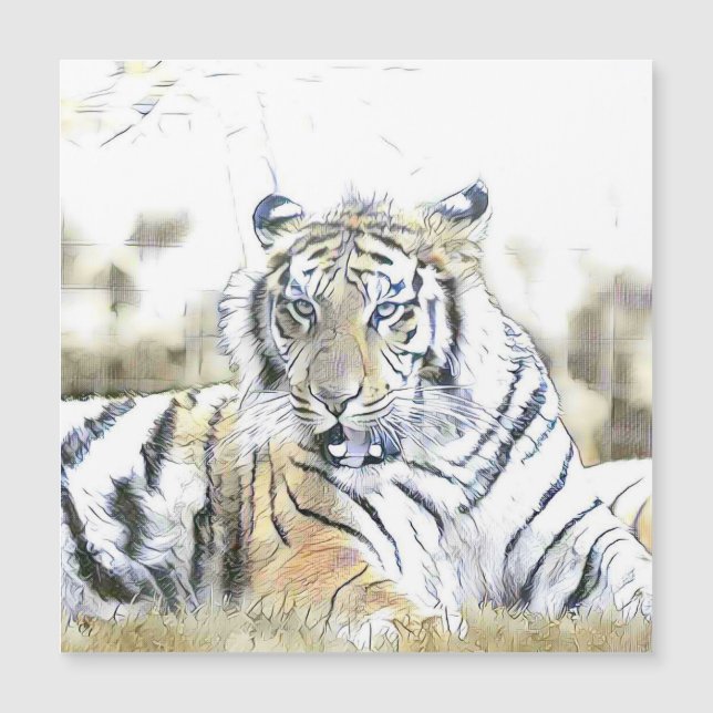 boeiende dieren - Tijger (Voorkant)