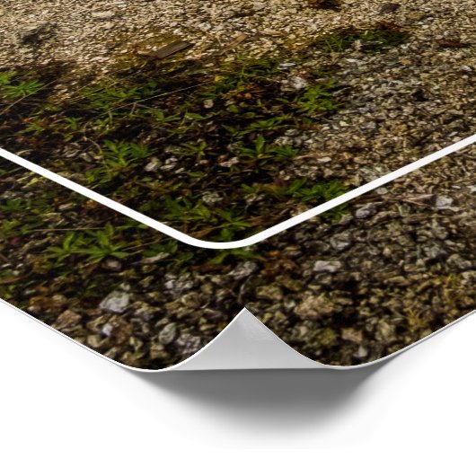 Boeiende Grand Prismatic Yellowstone Poster (Hoek)