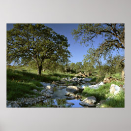 Boeiende Natuur Poster