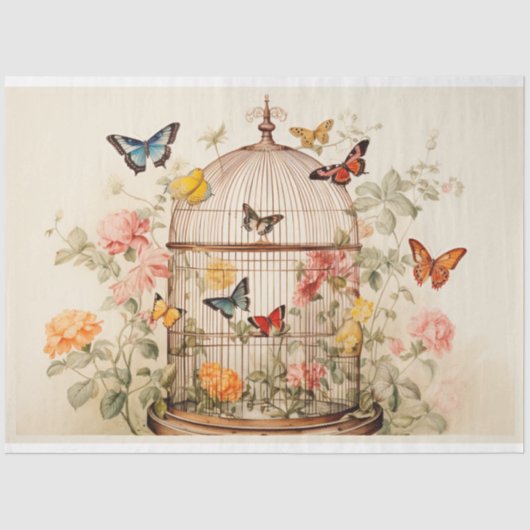 Boeiende schoonheid: vogelkooi decoupage tissuepapier (Voorkant)