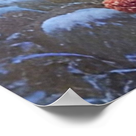 Boeiende Winter Wonderland Landschapskunst Poster (Hoek)