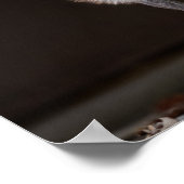 boeiende zilveren vos poster (Hoek)