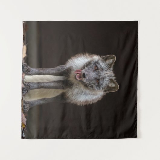 boeiende zilveren vos wandkleed (Voorkant (horizontaal))