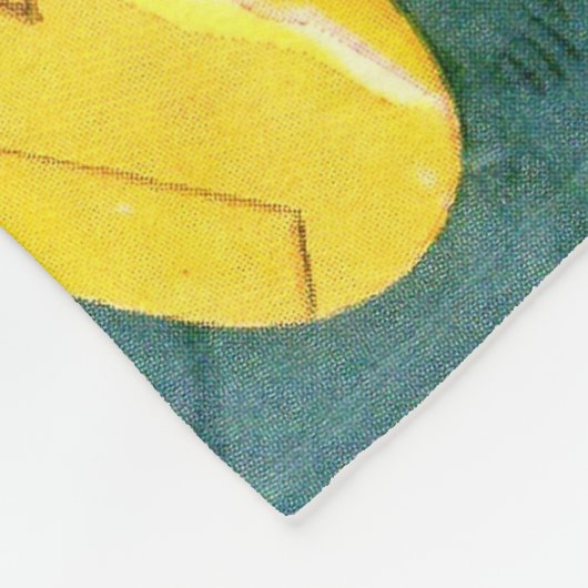 Boeing 915 fleece deken (Hoek)