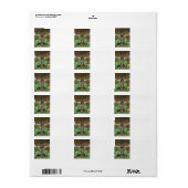 Boek Boom Adresetiketten Etiket (Full Sheet)