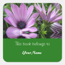 Boek bord, paarse Daisy Flowers Vierkante Sticker