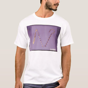 Boek en vloek van de tombe van Tutankhamun T-shirt