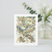  boek illustratie hagedissen briefkaart (Staand voorkant)