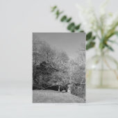 Boek onder Briefkaarten (Staand voorkant)