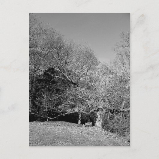 Boek onder Briefkaarten (Voorkant)