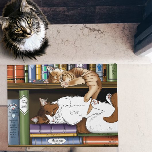 Boek Plank Katten Bibliotheek Deurmat