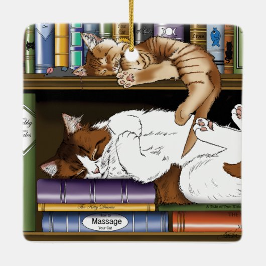 Boek Plank Katten Bibliotheek Keramisch Ornament (Achterkant)