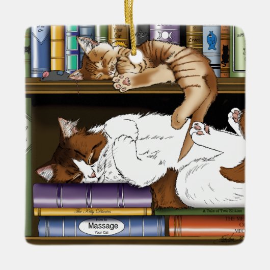 Boek Plank Katten Bibliotheek Keramisch Ornament (Voorkant)