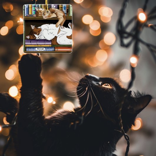 Boek Plank Katten Bibliotheek Keramisch Ornament