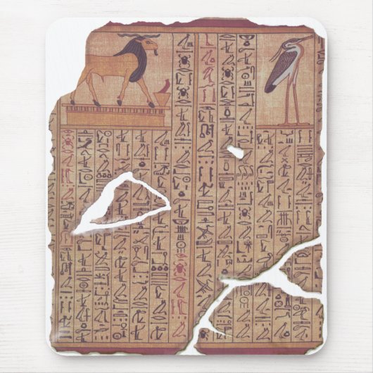 Boek van de doden - Ani Muismat (Voorkant)