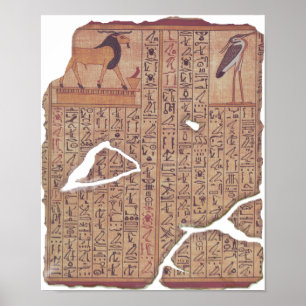 Boek van de doden - Ani Poster