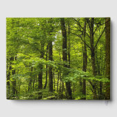 Boek van de haard van de boorput (Achterkant)