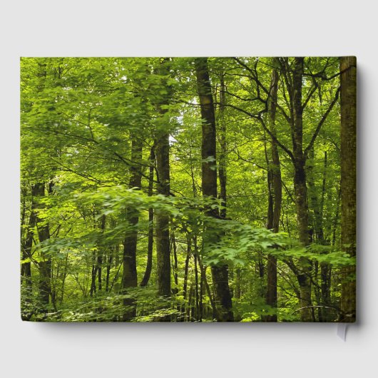 Boek van de haard van de boorput (Achterkant)