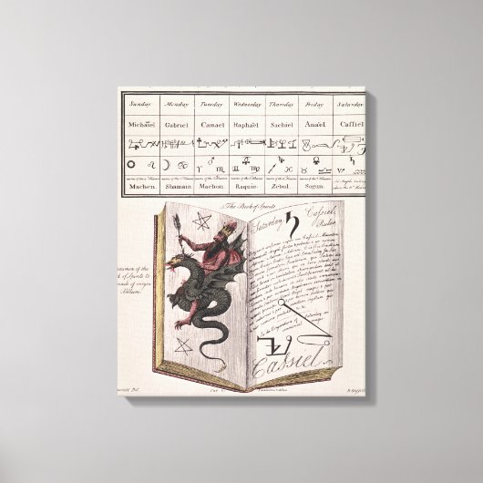 Boek van gedistilleerde dranken canvas afdruk (Voorkant)