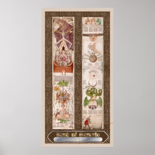 Boek van geheimen "Visio Mystica" Alchemy Poster (Voorkant)