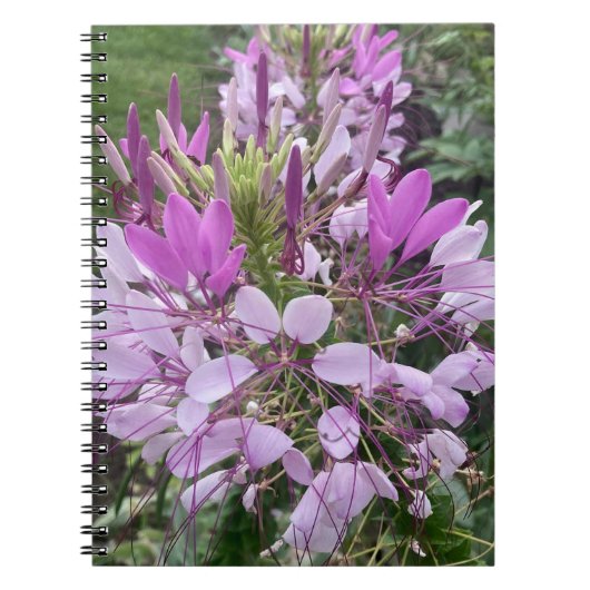 Boek van paarse bloemen notitieboek (Voorkant)