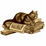 Boeken voor het lezen van keukengerei staand fotobeeldje<br><div class="desc">Boekworm Kitty Cat rust op zijn bibliotheekboeken die op cadeauproducten zijn gedrukt.</div>