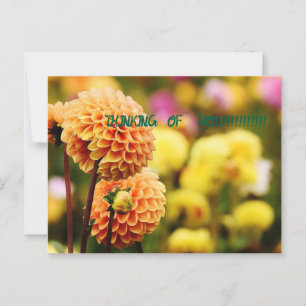 BOEKEN VOOR JOU BRIEFKAART