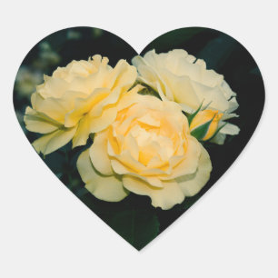 Boeket Gouden Rozen Hart Sticker