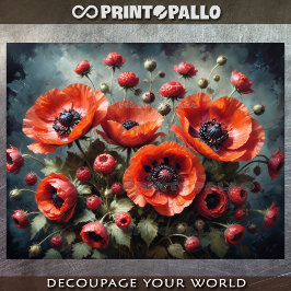 Boeket klaprozen bloemen tegen donkere achtergrond tissuepapier