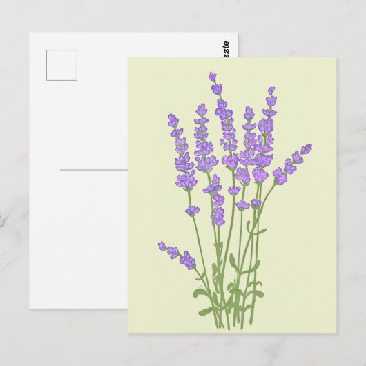 Boeket lavendelbloemen. briefkaart (Voorkant / Achterkant)