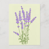 Boeket lavendelbloemen. briefkaart (Voorkant)