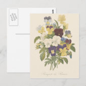 Boeket Pansies Bloem Illustratie Briefkaart (Voorkant / Achterkant)