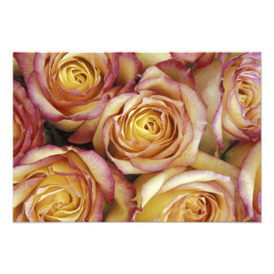 Boeket rozen foto afdruk