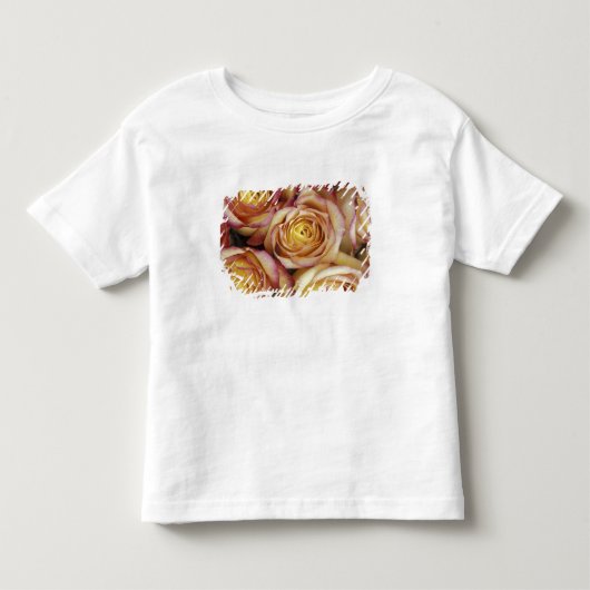 Boeket rozen kinder shirts (Voorkant)