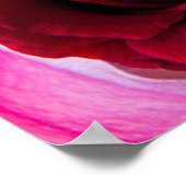 BOeket ROZEN Poster (Hoek)