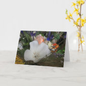 Boeket, UCSC Biologische Tuin Kaart (Gele Bloem)