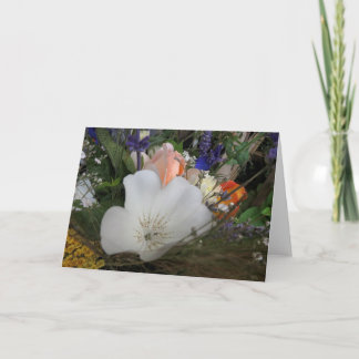 Boeket, UCSC Biologische Tuin Kaart