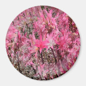 Boeket van Amaryllis..... Magneet (Voorkant)