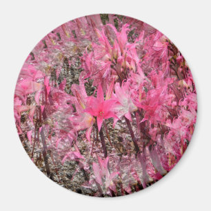 Boeket van Amaryllis..... Magneet