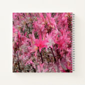 Boeket van Amaryllis..... Notitieboek (Achterkant)