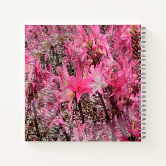 Boeket van Amaryllis..... Notitieboek (Achterkant)