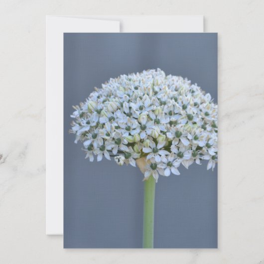 Boeket van bloemen bruiloft kaart (Achterkant)