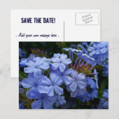 Boeket van Plumbago Aankondigingskaart (Voorkant / Achterkant)