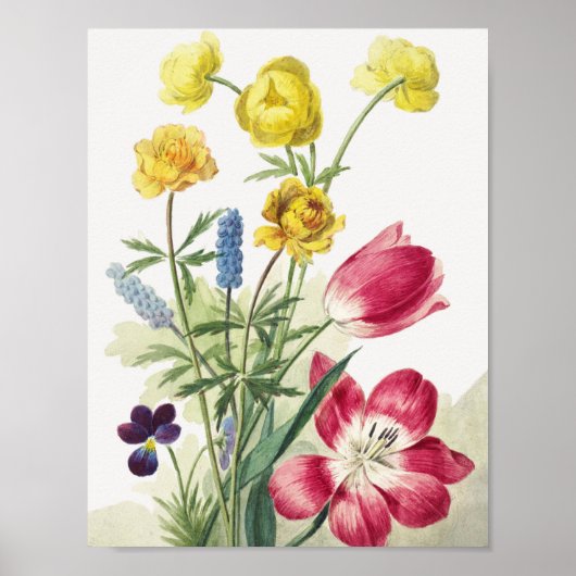 Boeket van tulpen, viooltjes, blauwe fjes poster (Voorkant)