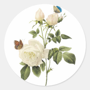Boeket van witte rozen met vlinders Sticker