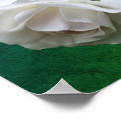 Boeket witte rozen met regendruppels poster (Hoek)