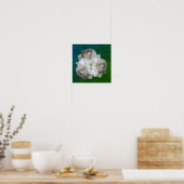 Boeket witte rozen met regendruppels poster (Keuken)