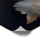 Boeketten van Zijdeachtig Blauw-Wit en Gouden Rand Poster (Hoek)